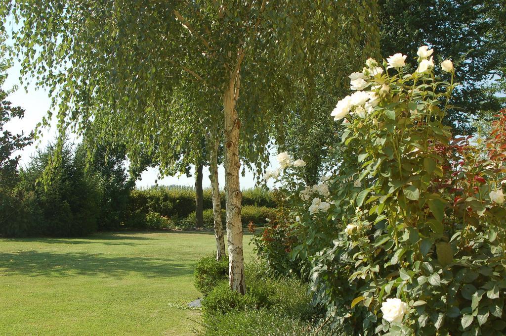 B&B Temenos Parma Exteriér fotografie